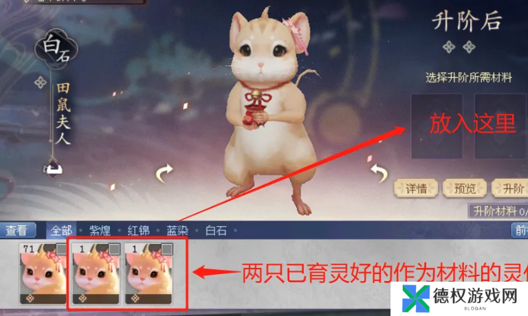 《倩女幽魂》灵伴升阶方法